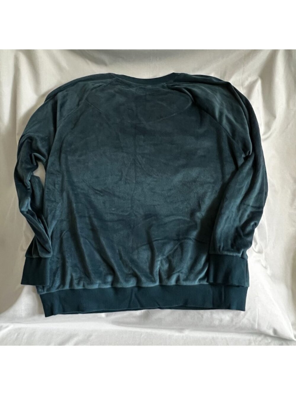 Secret Treasures Womens Velour Sweatshirt Large L Soft Teal Pullover Crewneck Lo - Picture 2 of 3